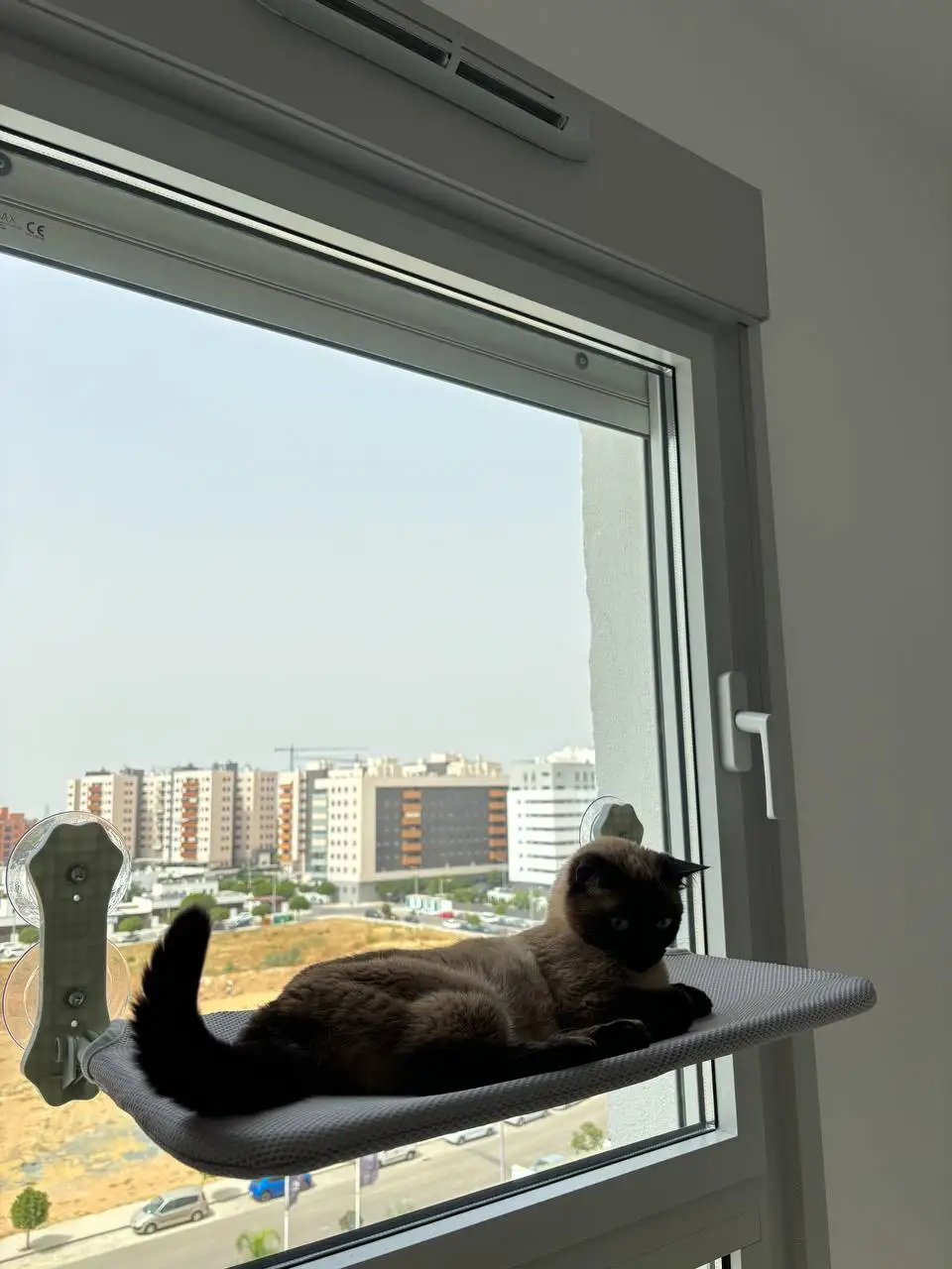 Cozy Suction Cup Cat Hammock for Window Views photo review