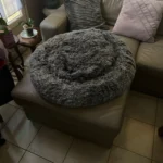 Plush Donut Cat Bed: Cozy, Washable Comfort for Pets photo review