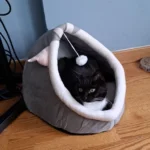 Cozy Cartoon Cat Bed: Removable, Washable, & Foldable Delight photo review