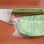 Lifelike 18-Leaf Tropical Palm Tree for Effortless Decor photo review