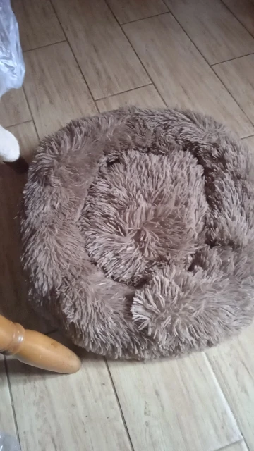 Cozy Plush Cat Bed for Ultimate Warmth & Comfort photo review