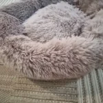 Plush Donut Cat Bed: Cozy, Washable Comfort for Pets photo review