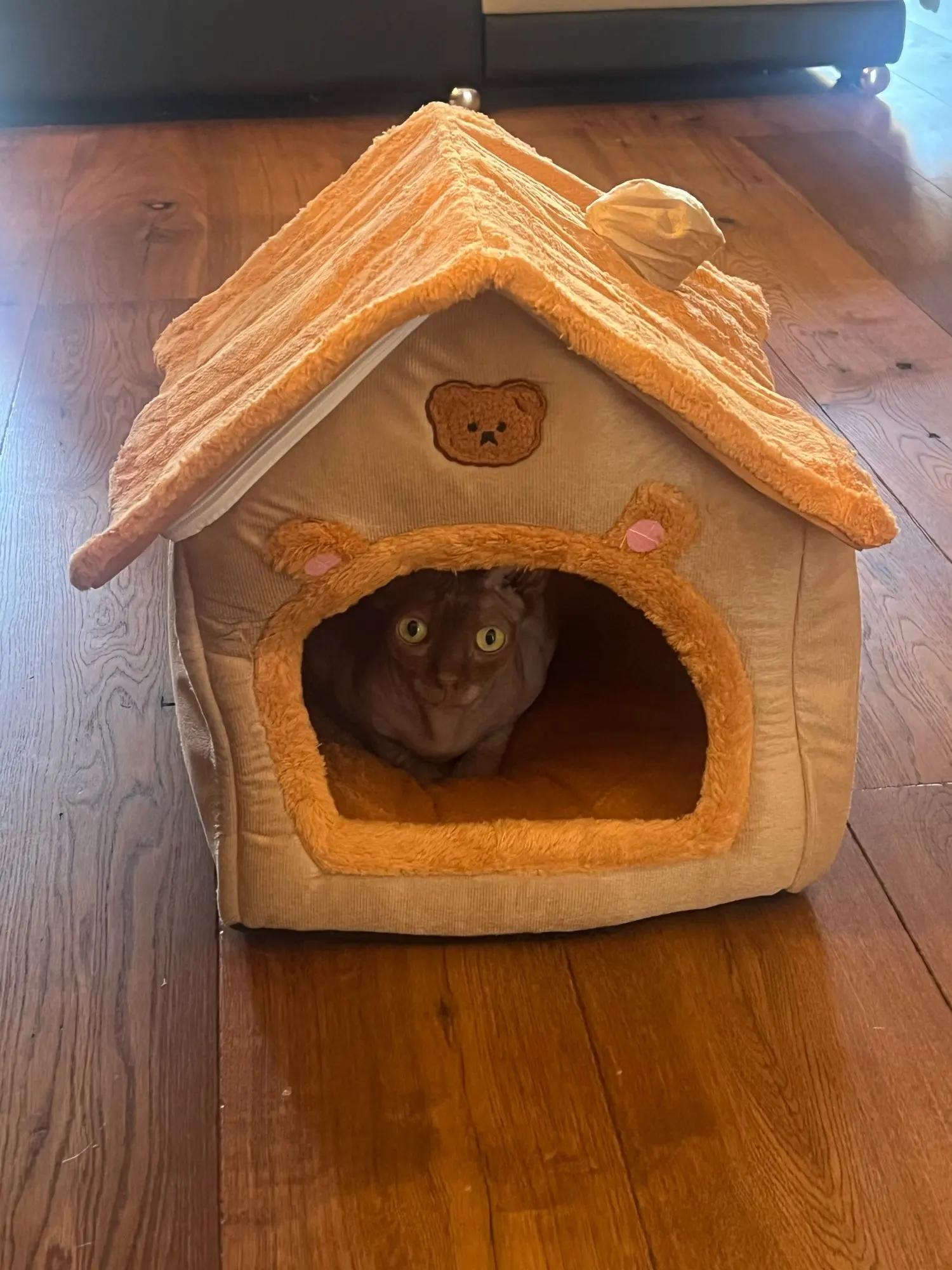 Cozy Foldable Pet House: Washable Cave for Cats & Small Dogs photo review