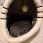 Cozy Cartoon Cat Bed: Removable, Washable, & Foldable Delight photo review