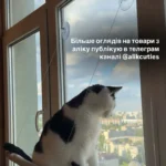 Sunny Cat Hammock Bed - Cozy Aerial Window Nest for Cats photo review