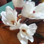 Elegant Magnolia Silk Flower Set - 5 Forks, 20 Heads for Home Decor photo review