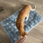 Cozy Plush Cat & Small Dog Bed Mat - Breathable & Soft photo review