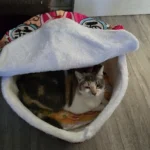 Cozy Super Large Pet Nest Bed for Dogs and Cats photo review