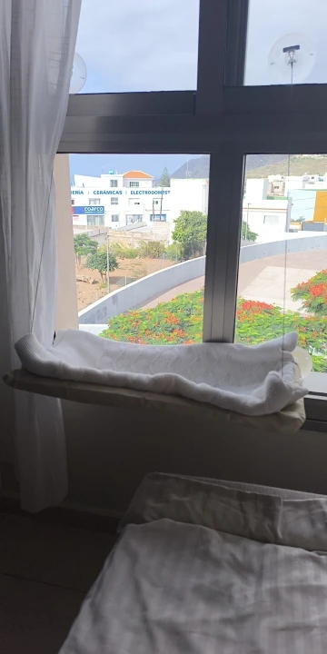 Sunny Cat Hammock Bed - Cozy Aerial Window Nest for Cats photo review