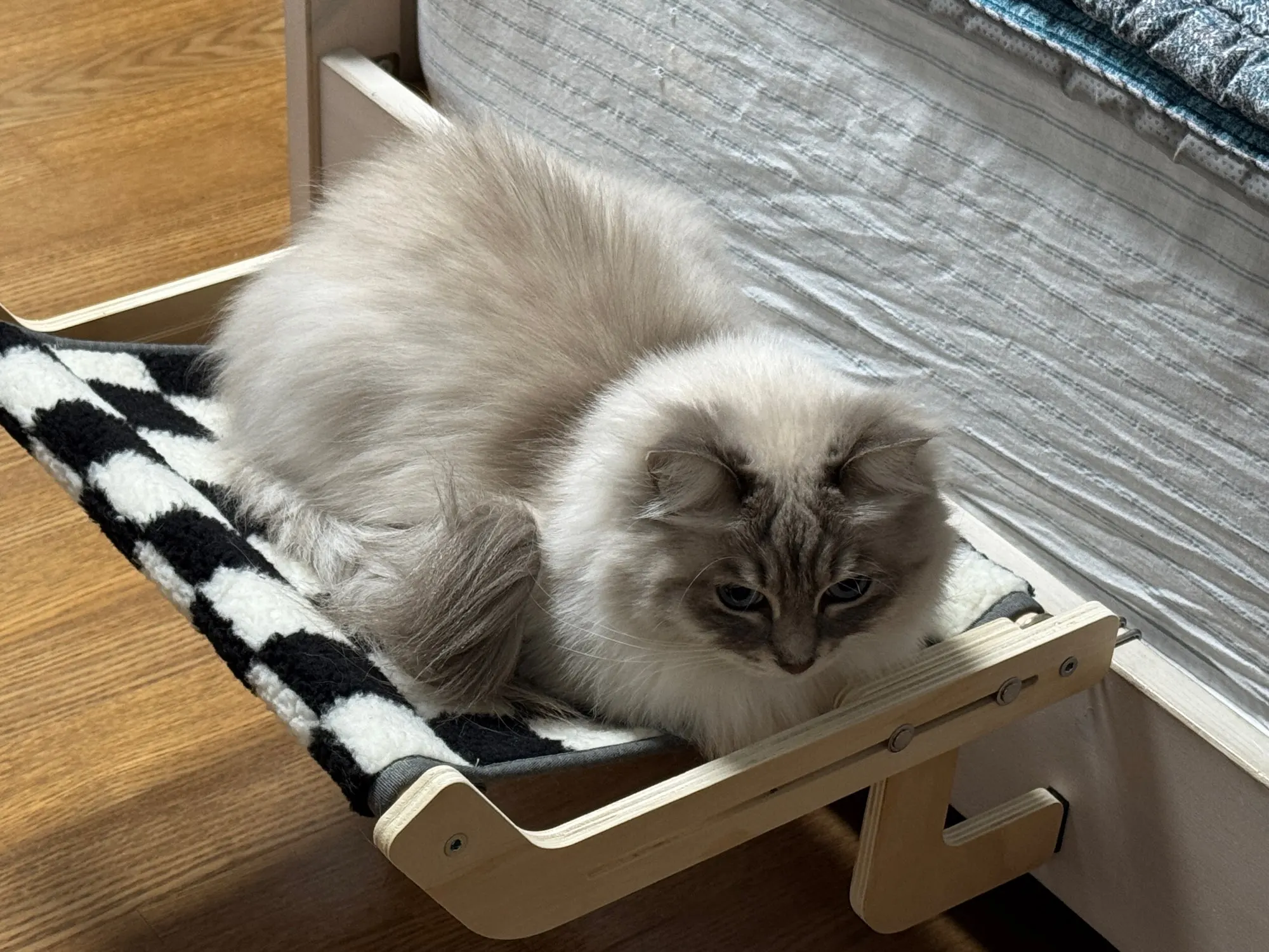 Cozy Cat Hammock with Window View & Wooden Stand photo review