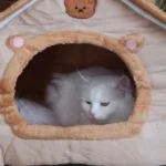Cozy Foldable Pet House: Washable Cave for Cats & Small Dogs photo review