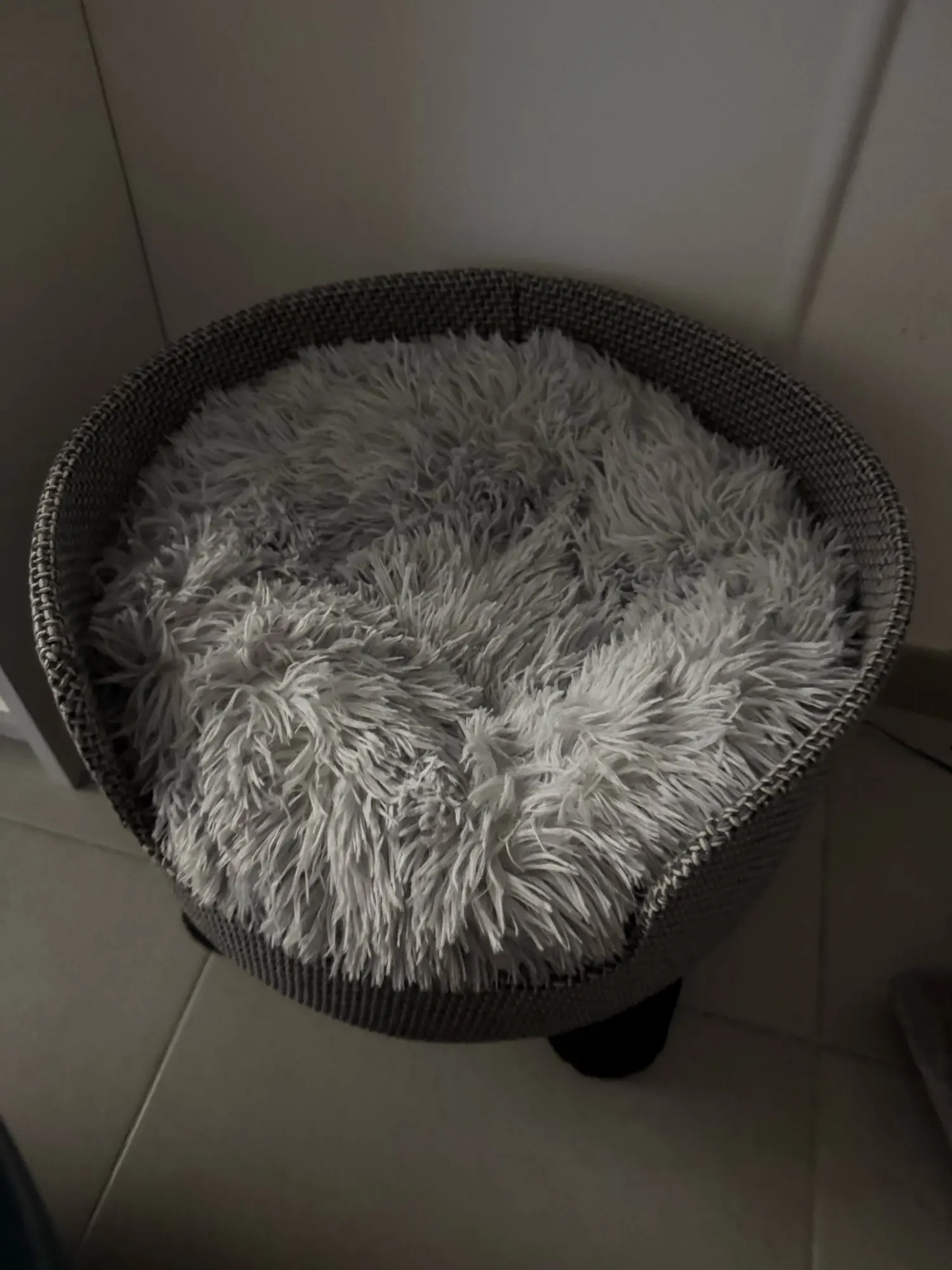 Cozy Round Pet Bed in Stylish Gradient for Large Dogs photo review