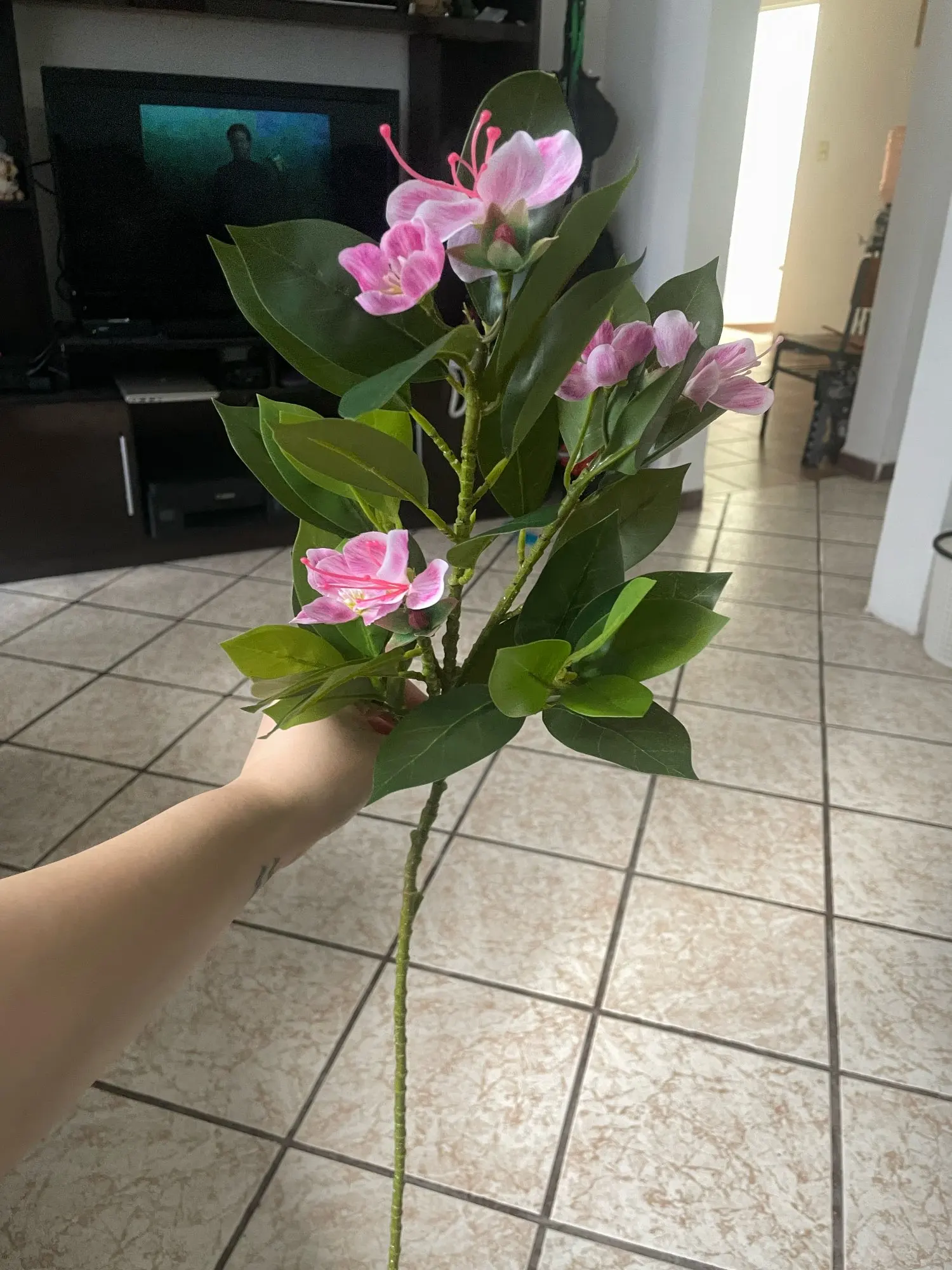 Lifelike Tropical Ficus Tree - No-Maintenance Home Decor photo review