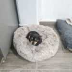 Cozy Round Pet Bed in Stylish Gradient for Large Dogs photo review