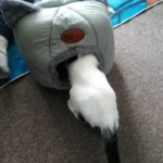 Cozy Cotton Cat Cave: Ultimate Winter Pet Bed Retreat photo review