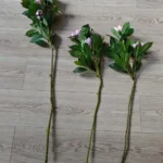 Lifelike Tropical Ficus Tree - No-Maintenance Home Decor photo review