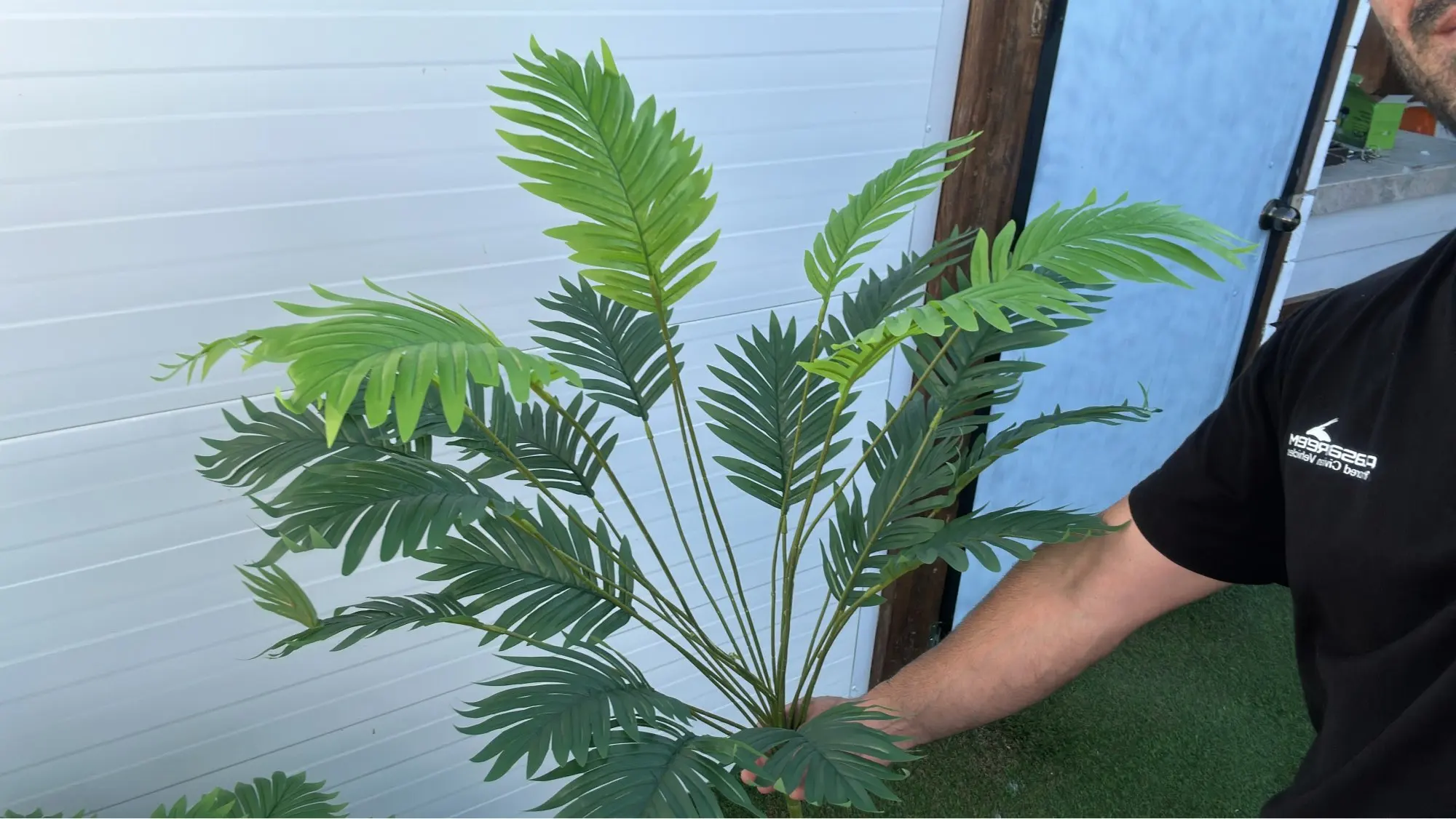 Lifelike 24-Leaf Areca Palm Duo for Effortless Decor Upgrade photo review