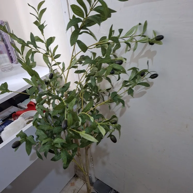 Elevate Your Decor: 120-180 CM Olive Tree Branch for Any Space photo review