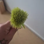 Lifelike 26 cm Dandelion Bouquet - Elegant Silk Floral Decor photo review