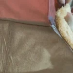 Cozy Foldable Pet House: Washable Cave for Cats & Small Dogs photo review