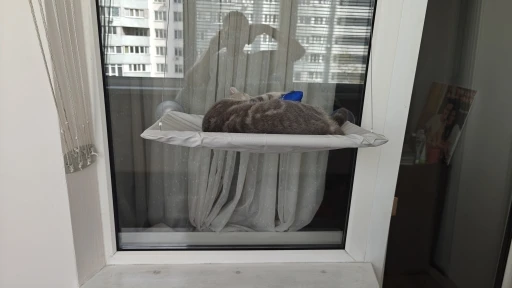 Sunny Cat Hammock Bed - Cozy Aerial Window Nest for Cats photo review
