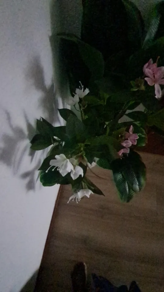 Lifelike Tropical Ficus Tree - No-Maintenance Home Decor photo review