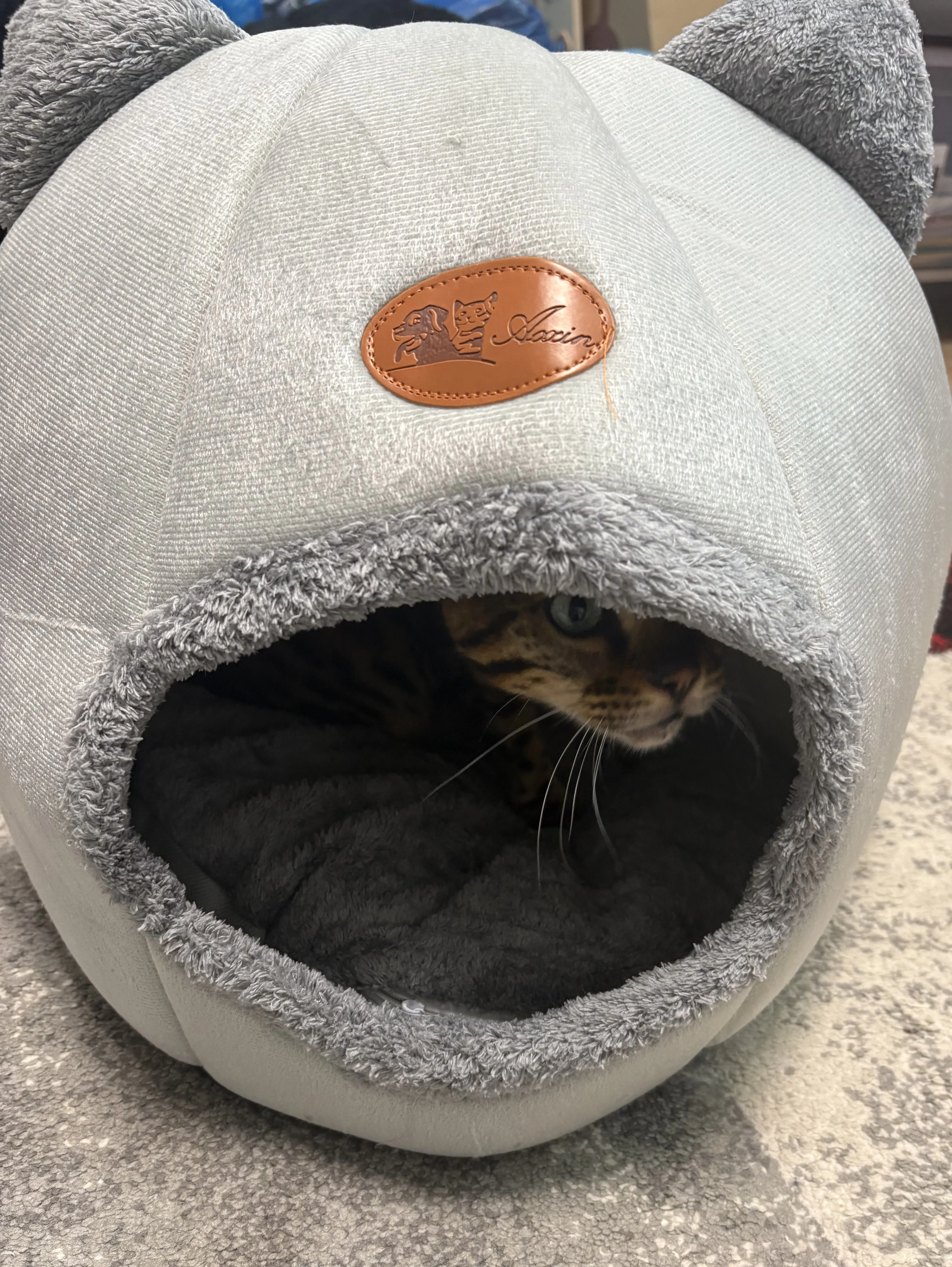 Cozy Cotton Cat Cave: Ultimate Winter Pet Bed Retreat photo review