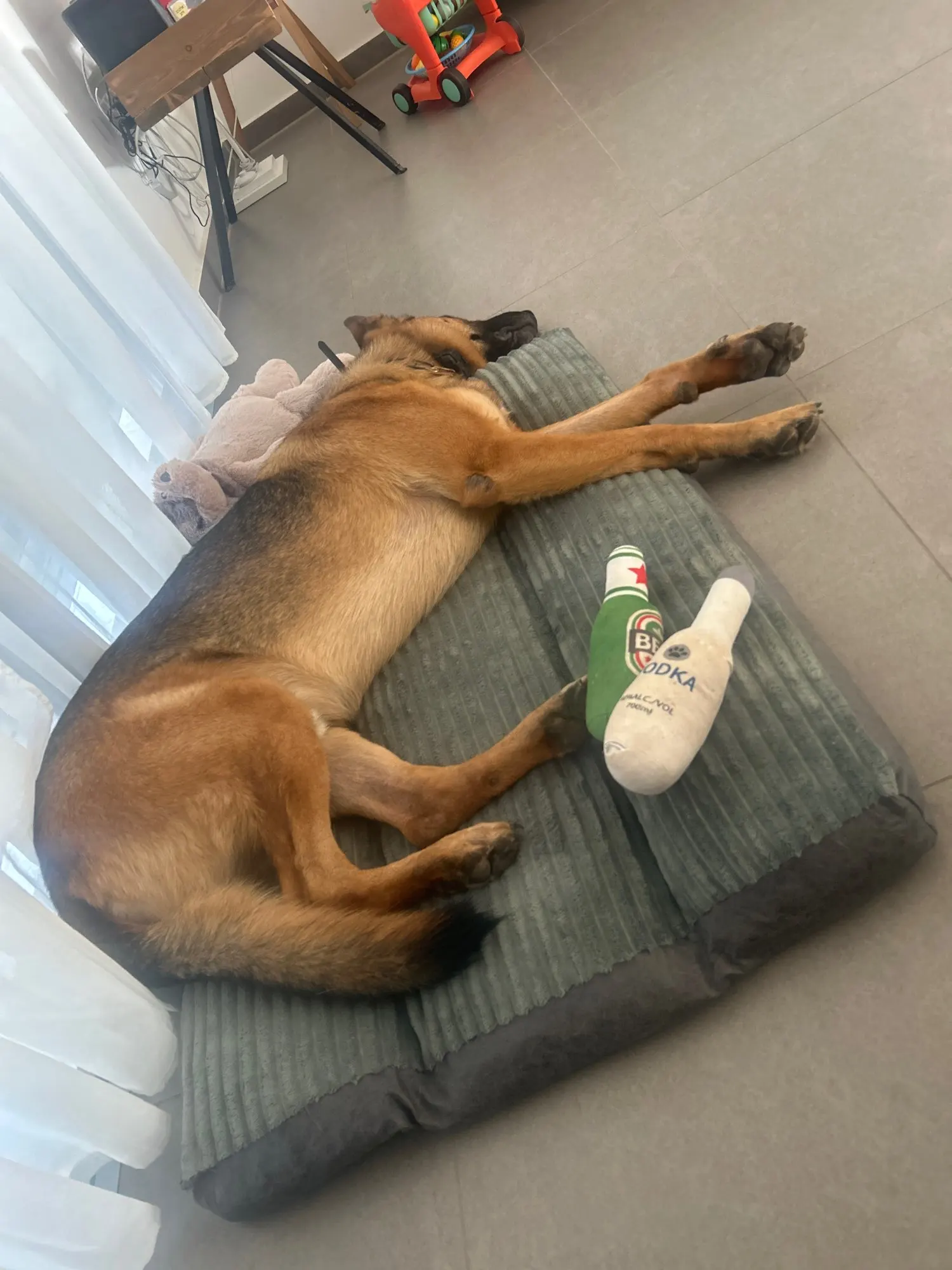 Cozy Corduroy Dog Bed - Detachable & Washable Comfort Mat photo review