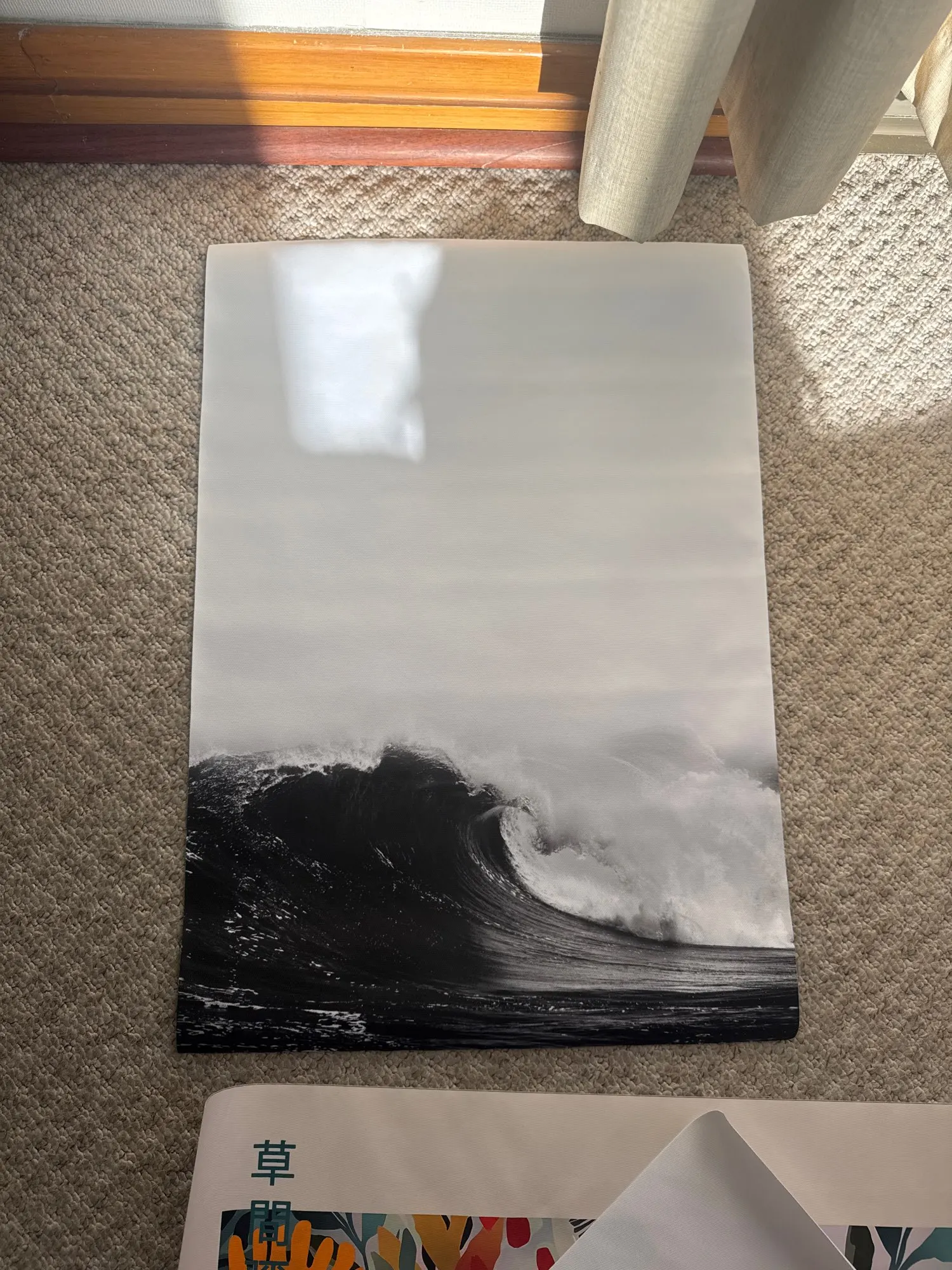 Coastal Serenity: Black & White Palm Tree Canvas Art photo review