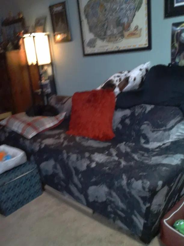 Floral Stretch Sofa Cover – Stylish Protector for Your Home photo review