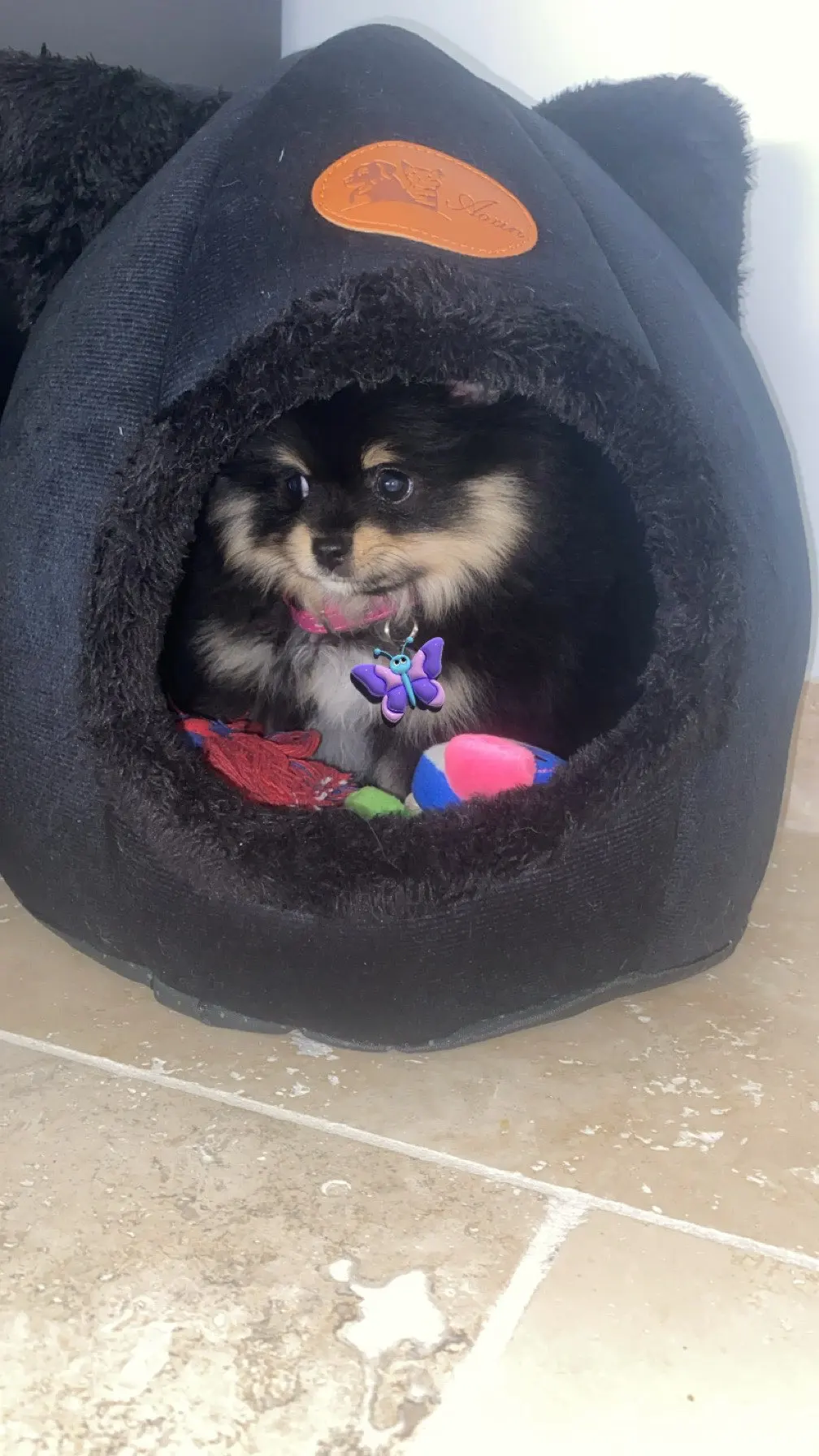 Cozy Cotton Cat Cave: Ultimate Winter Pet Bed Retreat photo review