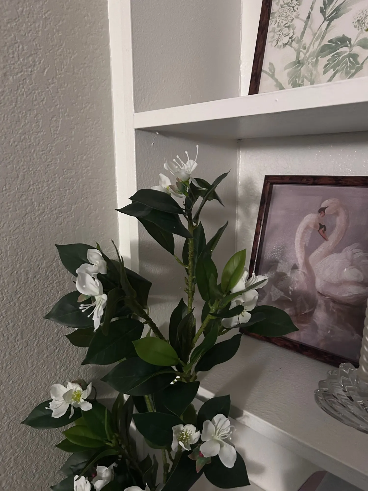 Lifelike Tropical Ficus Tree - No-Maintenance Home Decor photo review