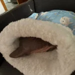 Cozy Plush Cat Sleeping Bag - Ultra Soft Travel Nest photo review