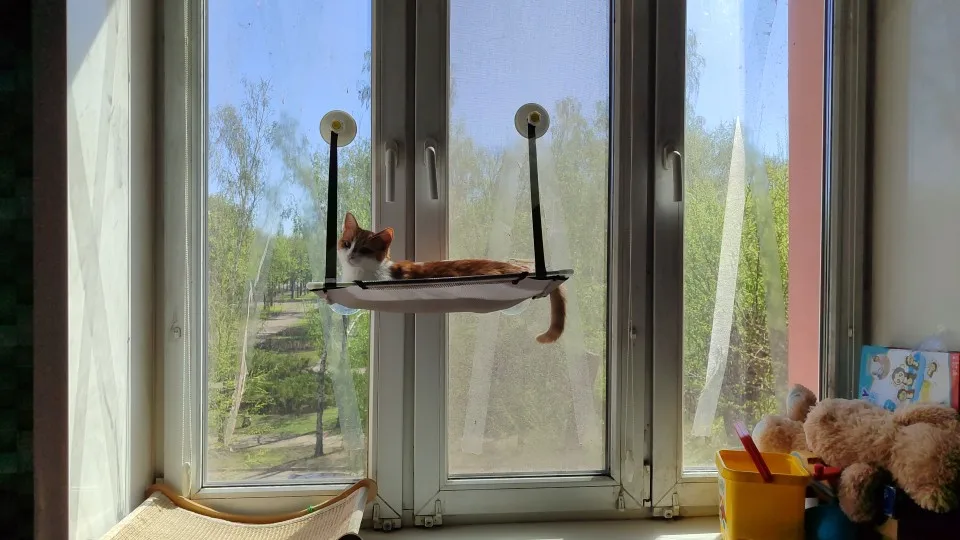 Breathable Cat Hammock with Suction Cups for Sunbathing Bliss photo review