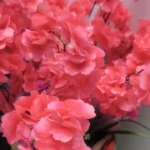 Lifelike Cherry Blossom Silk Flowers for Elegant Home Decor photo review