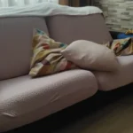 Elegant Jacquard Sofa Cover - Soft, Stretchy Protection for All Sofas photo review