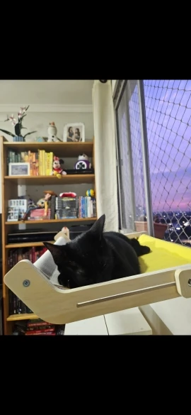 Cozy Cat Hammock with Window View & Wooden Stand photo review