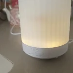 Aromatherapy Diffuser & Humidifier with Soothing Night Light photo review