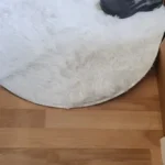 Ultra Cozy Fluffy White Round Rug for Chic Home Decor photo review