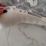 Cozy Plush Cat & Small Dog Bed Mat - Breathable & Soft photo review