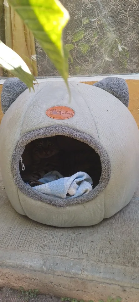 Cozy Cotton Cat Cave: Ultimate Winter Pet Bed Retreat photo review