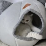 Cozy Cotton Cat Cave: Ultimate Winter Pet Bed Retreat photo review