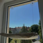 Sunny Cat Hammock Bed - Cozy Aerial Window Nest for Cats photo review