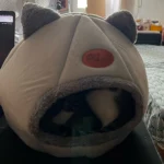 Cozy Cotton Cat Cave: Ultimate Winter Pet Bed Retreat photo review