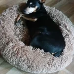 Cozy Plush Cat Bed for Ultimate Warmth & Comfort photo review