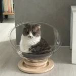 Transparent Capsule Cat Bed: Elegant All-Season Comfort photo review