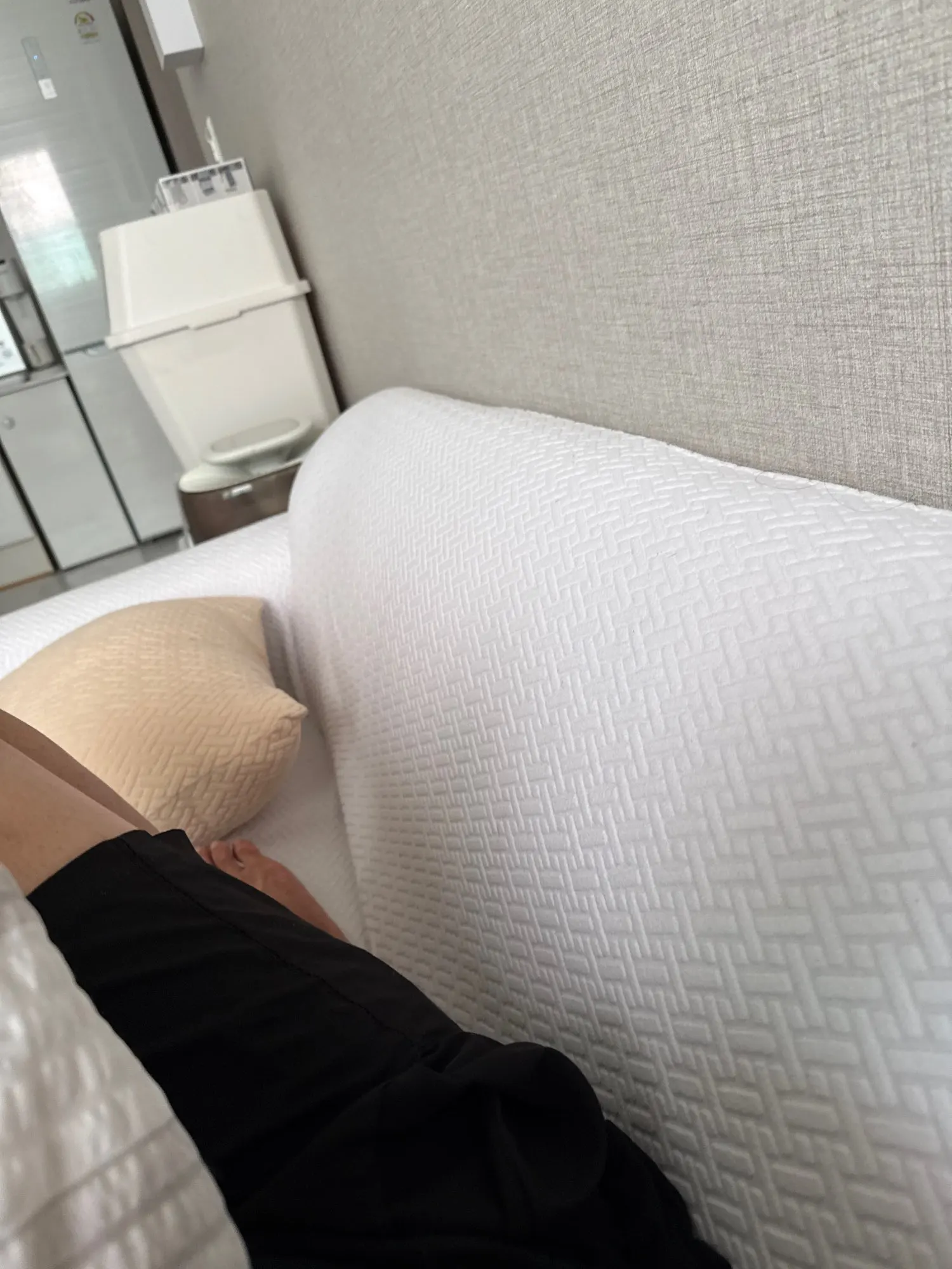 Luxurious Jacquard Sofa Cover for Custom Fit Comfort photo review