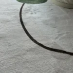 Plush Irregular Shaggy Rug for Cozy Living Room Spaces photo review