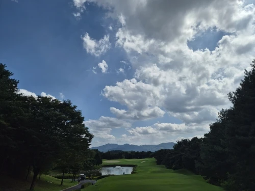 Eco-Friendly 500 ml Stainless Steel Travel Tumbler - Hot & Cold photo review