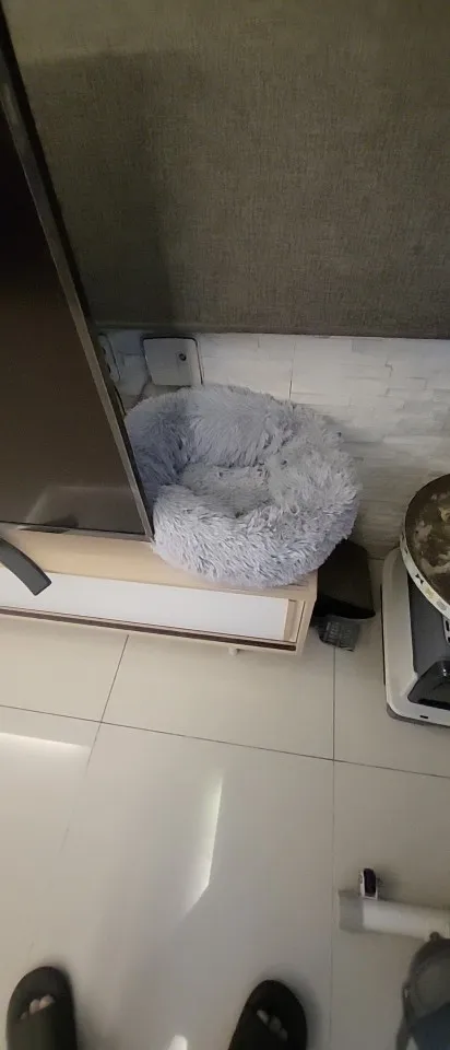 Plush Donut Cat Bed: Cozy, Washable Comfort for Pets photo review